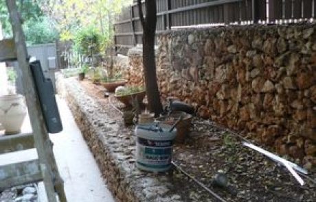 הקמת גינה עם דק עץ על חורבות גינה ישנה בכפר סבא