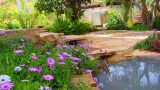 2_pools_and_stram-2