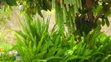 2_pools_and_stram-4