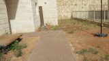 aley-zahav-1