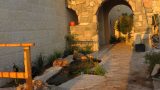 aley-zahav-2