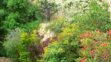 denya_haifa (12)
