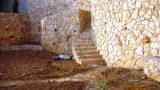 denya_haifa (2)