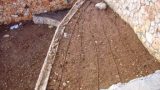 denya_haifa (3)