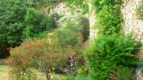 denya_haifa (6)