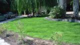 dsc00047