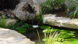 dsc00069