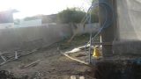 garden_1