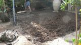 garden_1