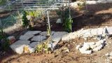 garden_1