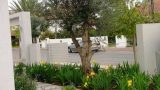 garden_10