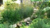 garden_10