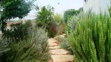 garden_11