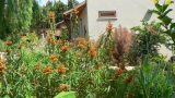 garden_11