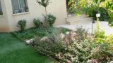 garden_12