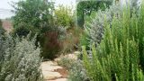 garden_12