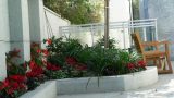 garden_12