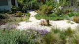 garden_12