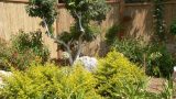 garden_12