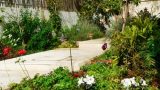garden_13