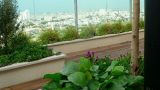 garden_13