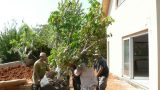 garden_13