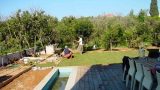 garden_14