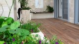 garden_14