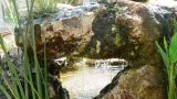 garden_14