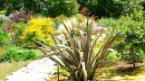 garden_15