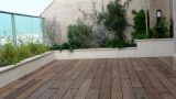 garden_15