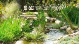 garden_15