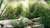 garden_16