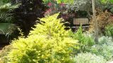 garden_17