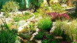 garden_17