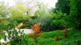 garden_18
