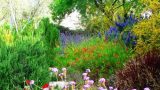 garden_19