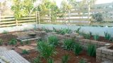 garden_19