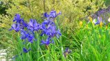 garden_20