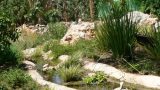 garden_20