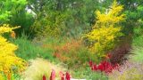 garden_21