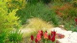 garden_22