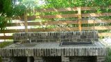 garden_22