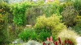 garden_23