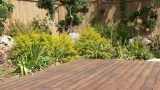 garden_23