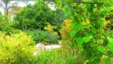 garden_24