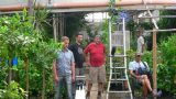 garden_3