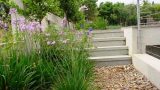 garden_3