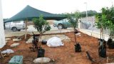 garden_3