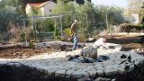 garden_3